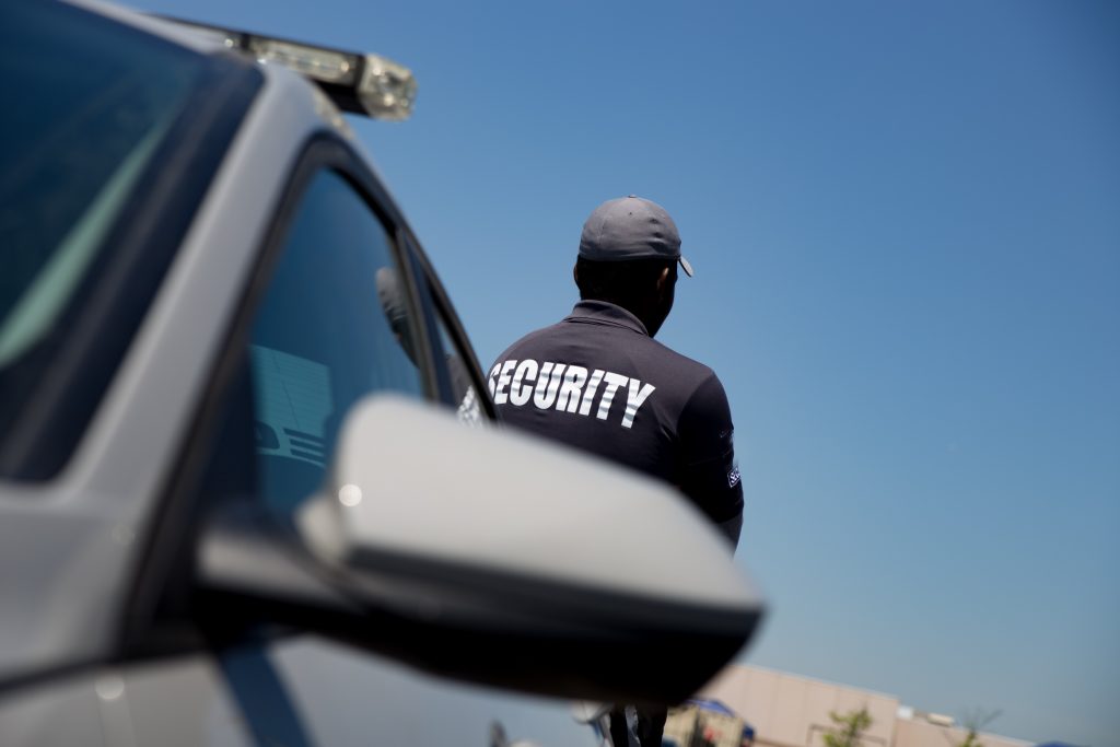 Professional Security Services